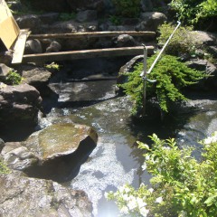 池の汚泥清掃④